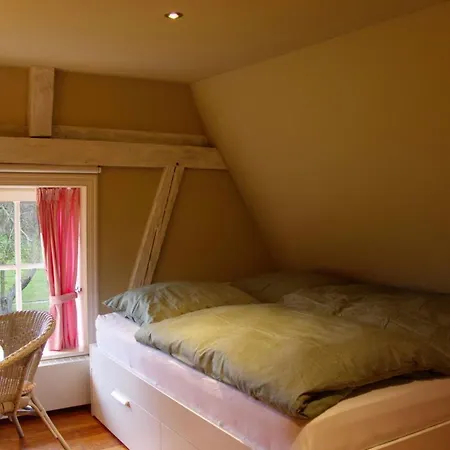 Feriehus Inselblume 84 - Luxus Mit Reetdach Auf Dem Land Femern